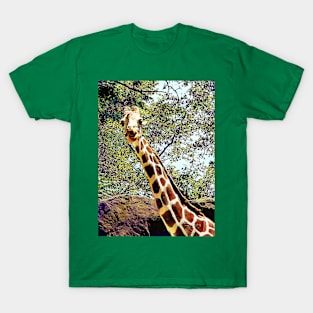 Giraffes - Hello Down There T-Shirt